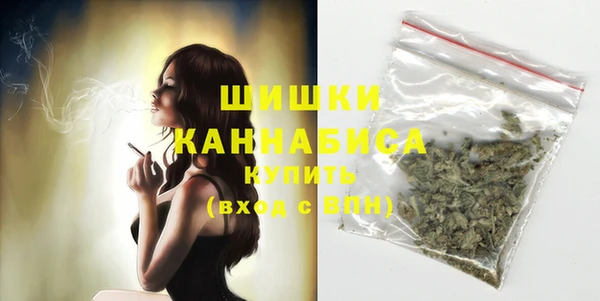 дурь Бронницы