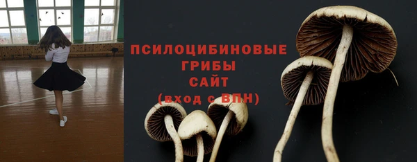 apvp Богданович