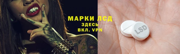 apvp Богданович