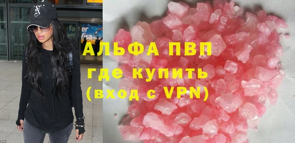 spice Бородино